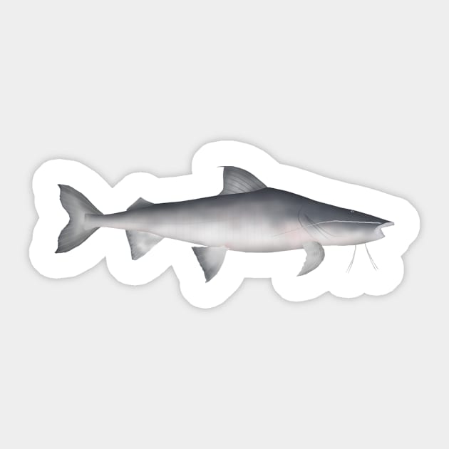 Piraiba Sticker by FishFolkArt